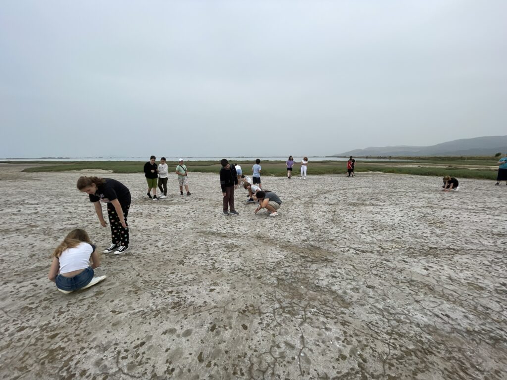 IMG 6832